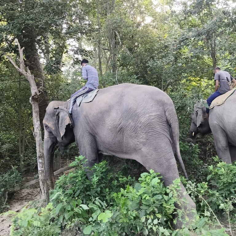 India Travel