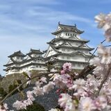 Kansai VIP Tours