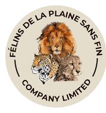 Felins De La Plaine Sans Fin