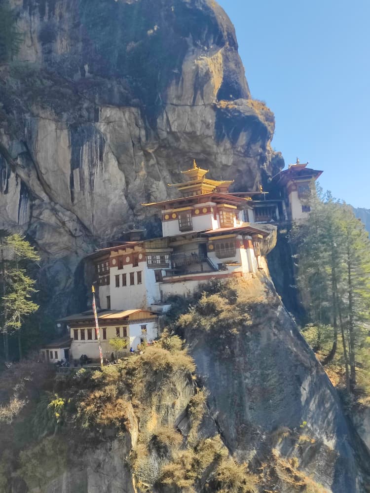 Flying Fox Bhutan Tours & Travels