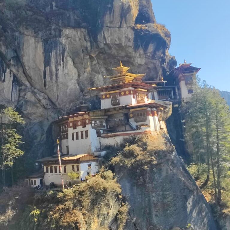Flying Fox Bhutan Tours & Travels