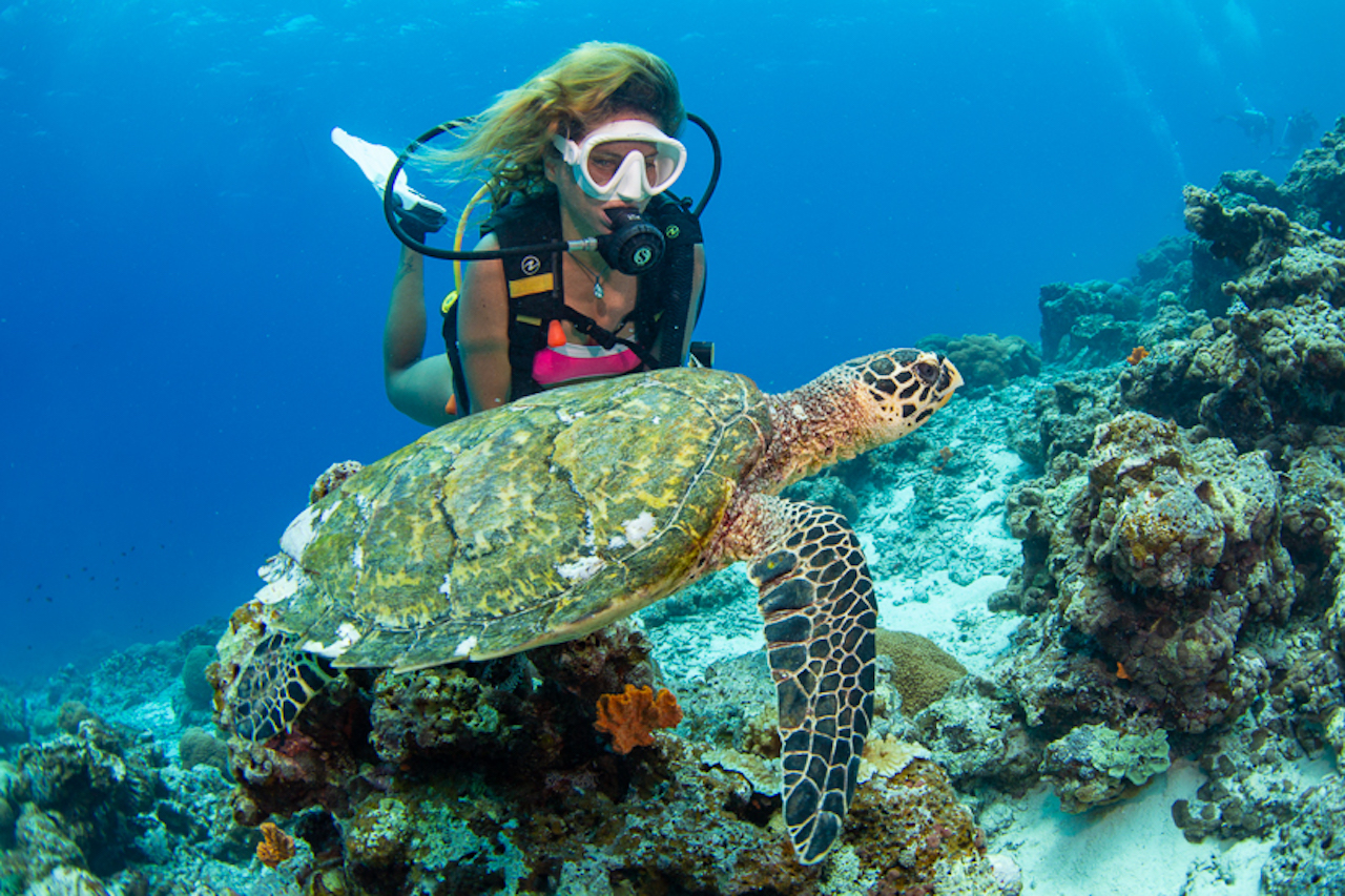 Divine Divers Gili Meno