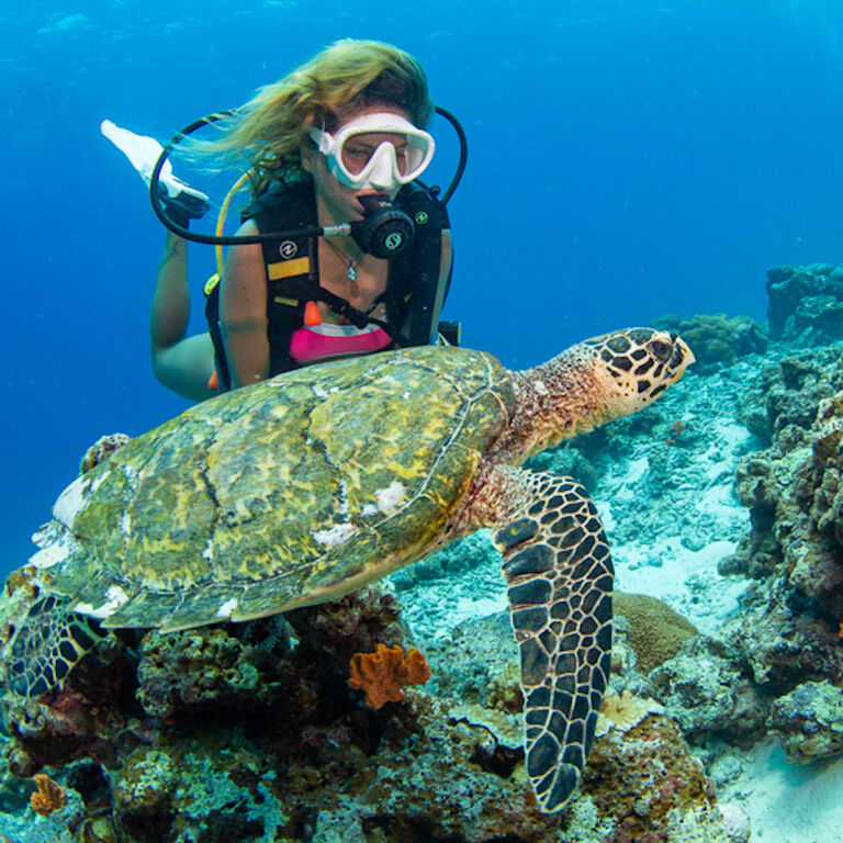 Divine Divers Gili Meno