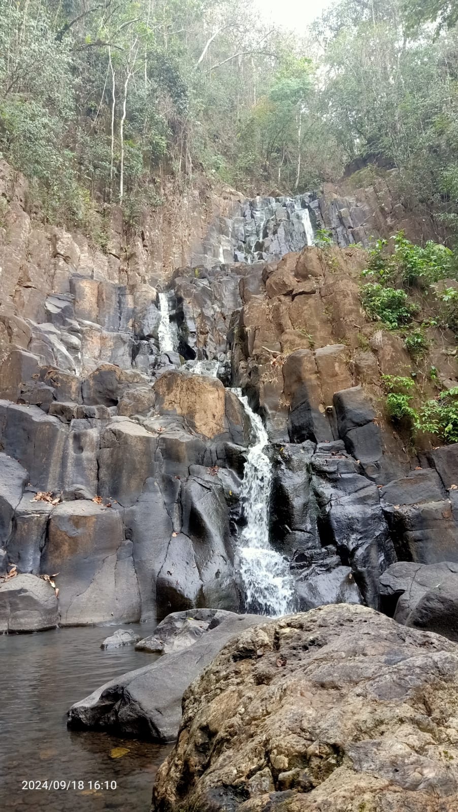 Beta Komodo Tour Operator