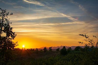 Fattoria di Piazzano