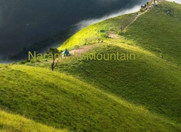 Robinson’s path with Narangala Mountainous Tourism