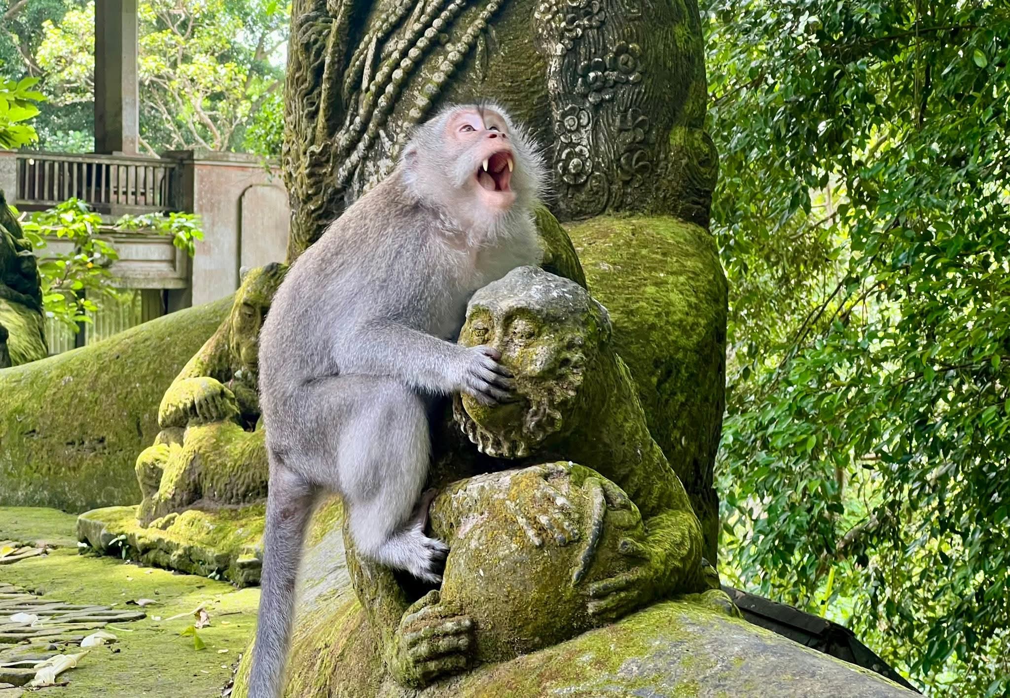 BALI PRIVATE DAY TOUR