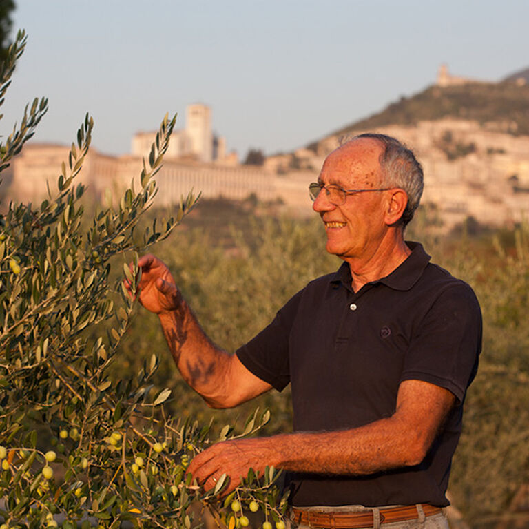 SAIO Assisi