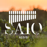 SAIO Assisi