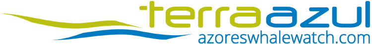 Azores Whale Watching TERRA AZUL