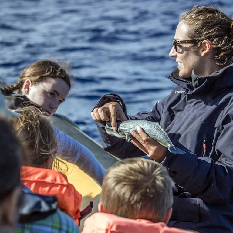 Azores Whale Watching TERRA AZUL