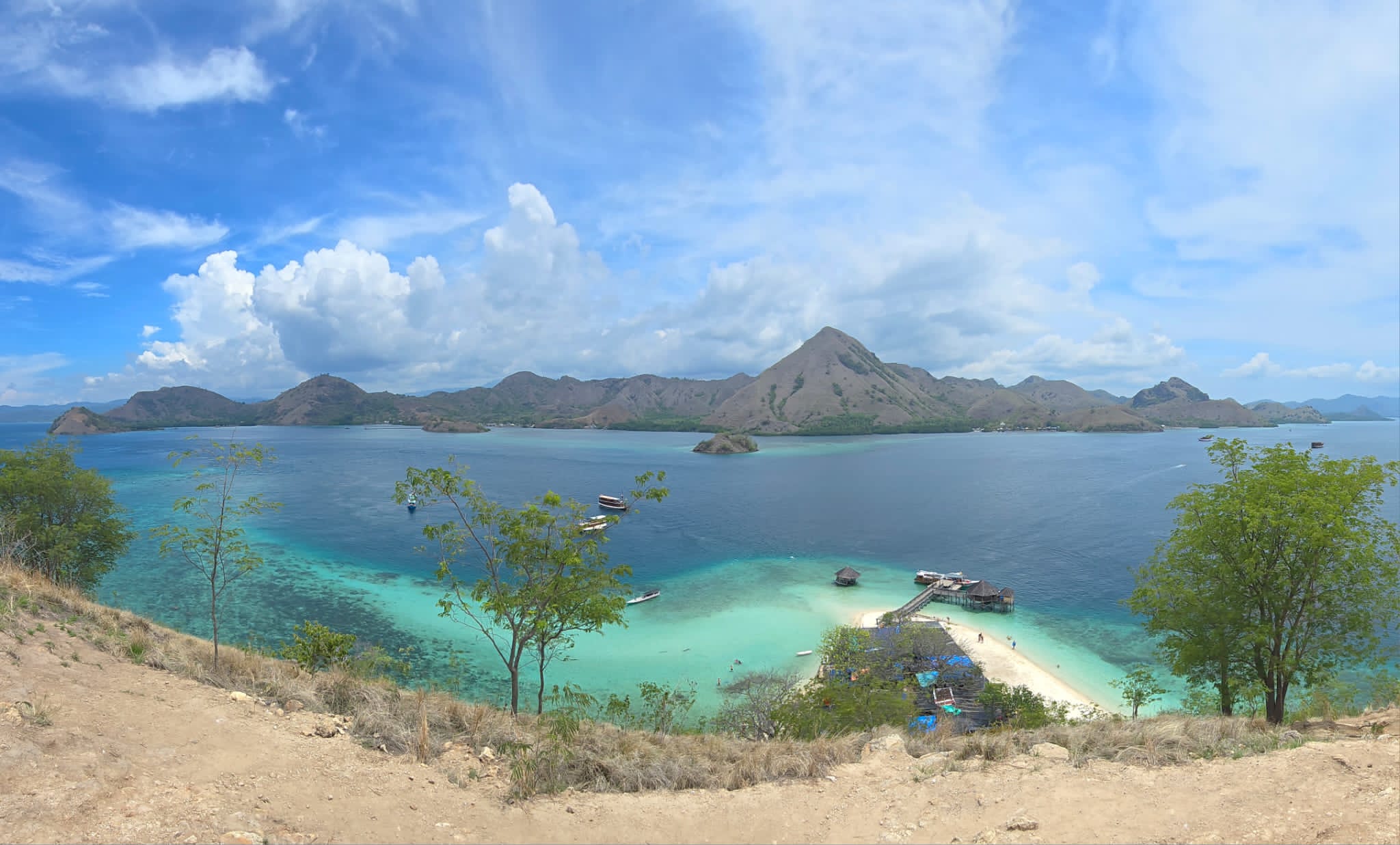 Komodo One Day Trip