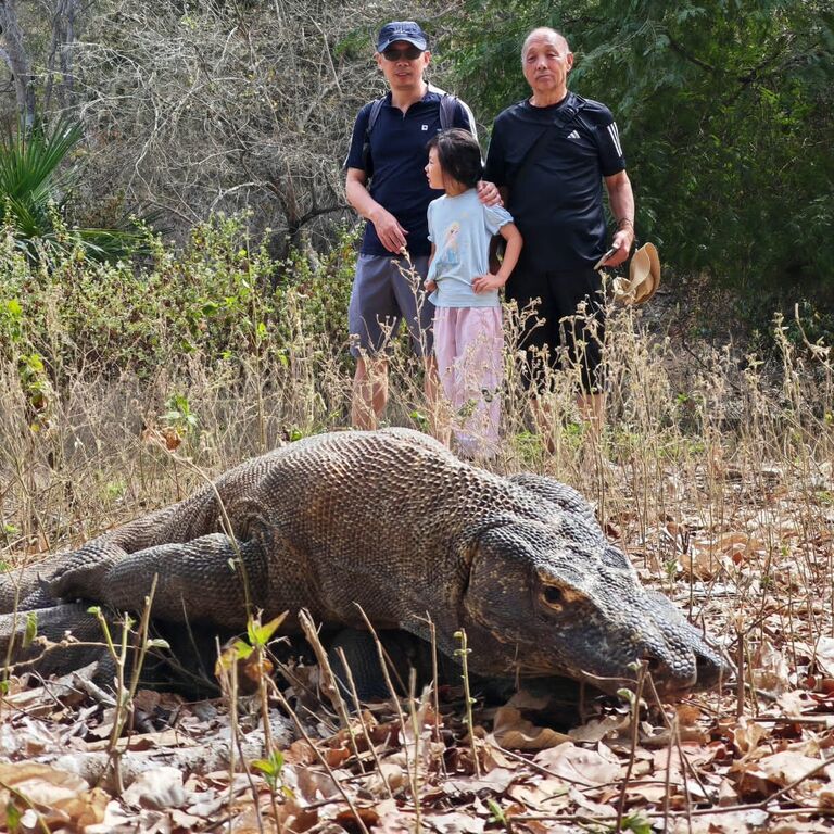 Komodo One Day Trip