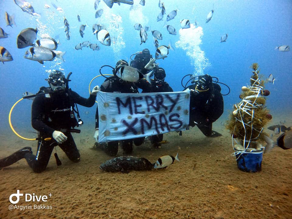 INTERMARE DIVERS
