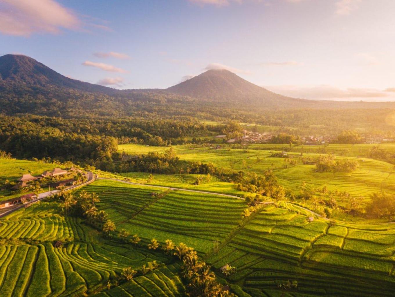 Bali full day tour TC