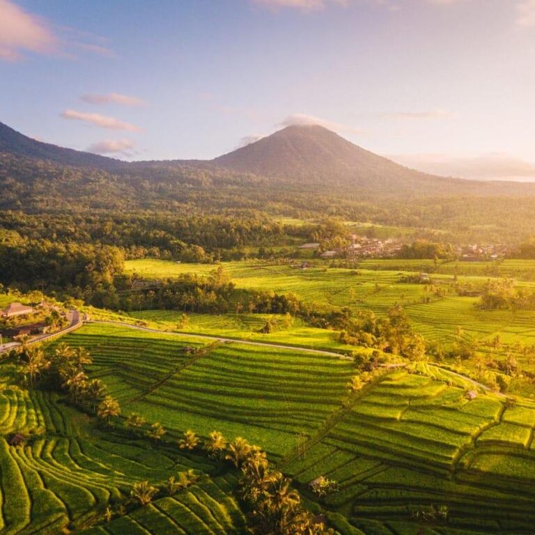 Bali full day tour TC