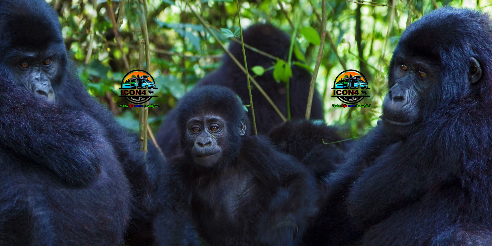 Icon4 Tours and Travel Uganda
