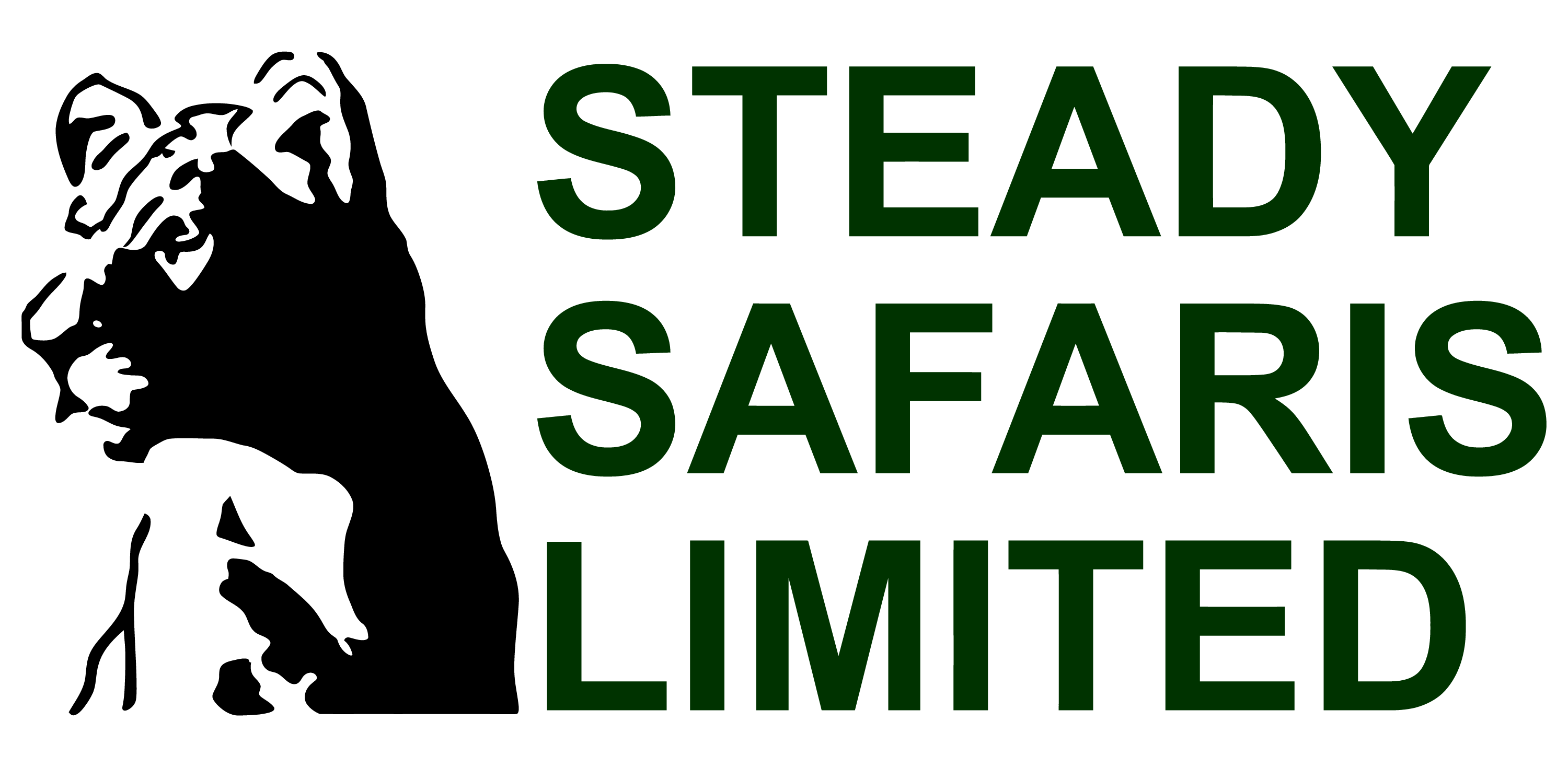 Steady Safaris Limited