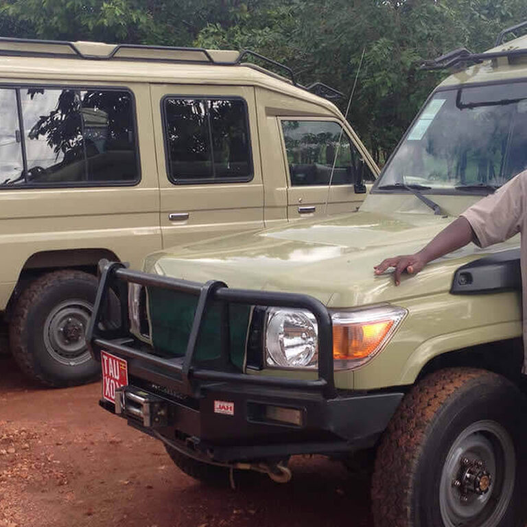 Steady Safaris Limited