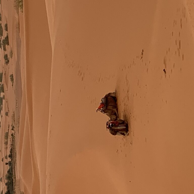 Maroc-circuit.fr