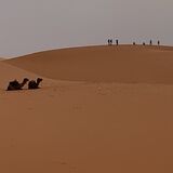 Maroc-circuit.fr