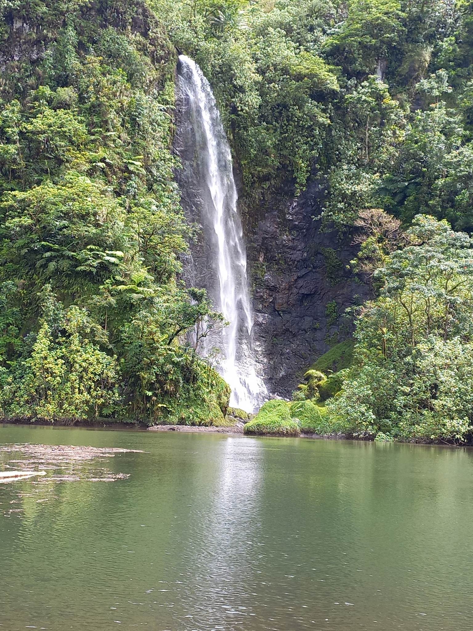 TETAPUA QUAD ADVENTURES