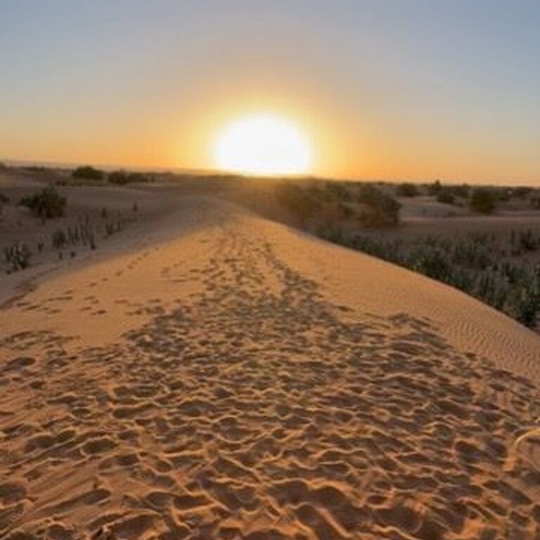 Morocco Season Tours