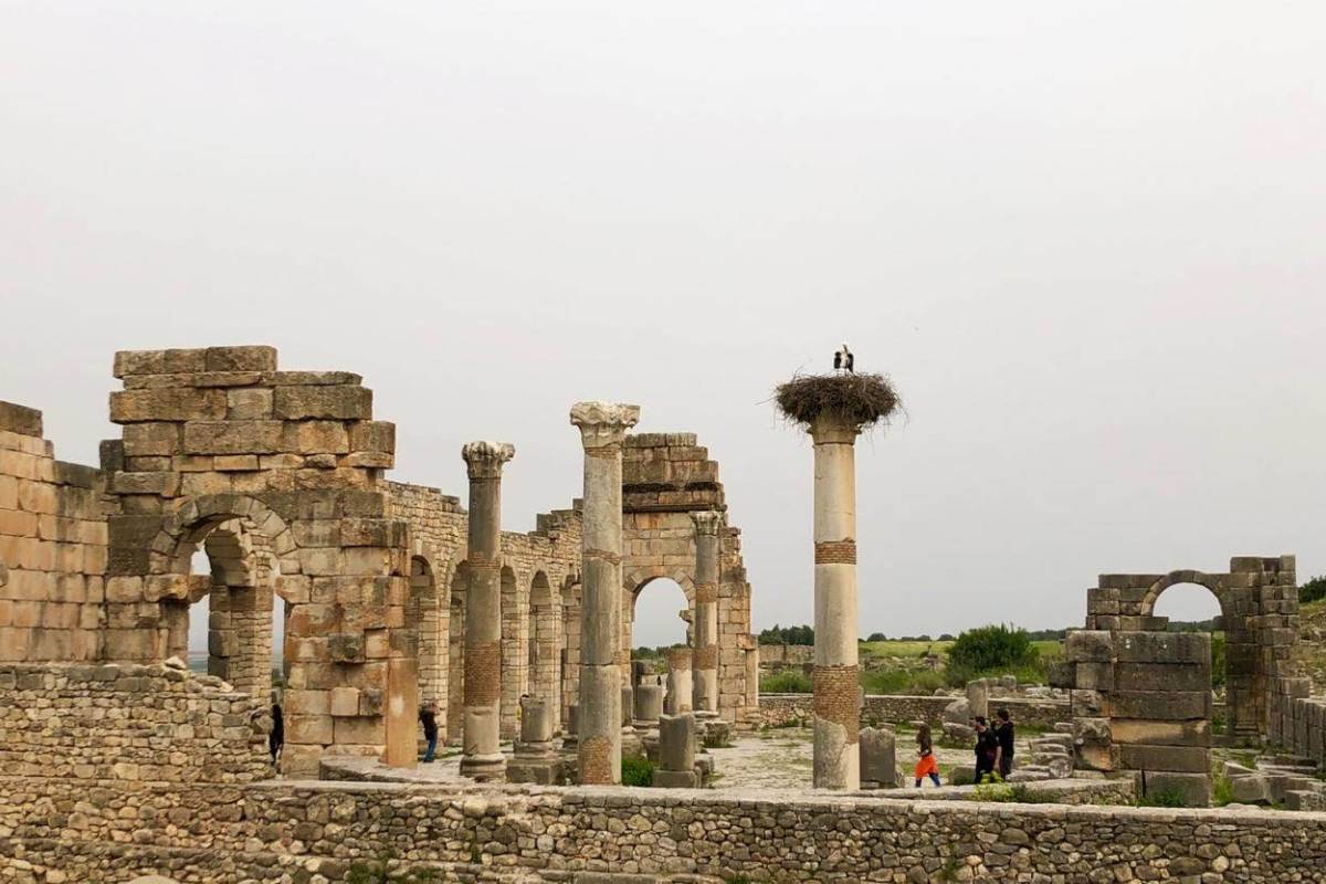 Morocoo desert Tours