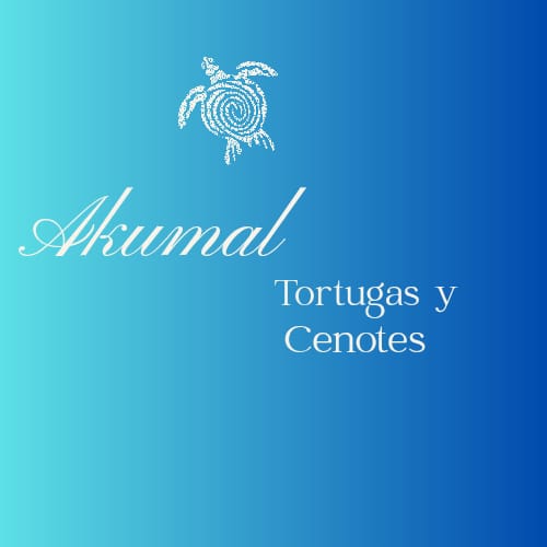Akumal tortugas y cenotes
