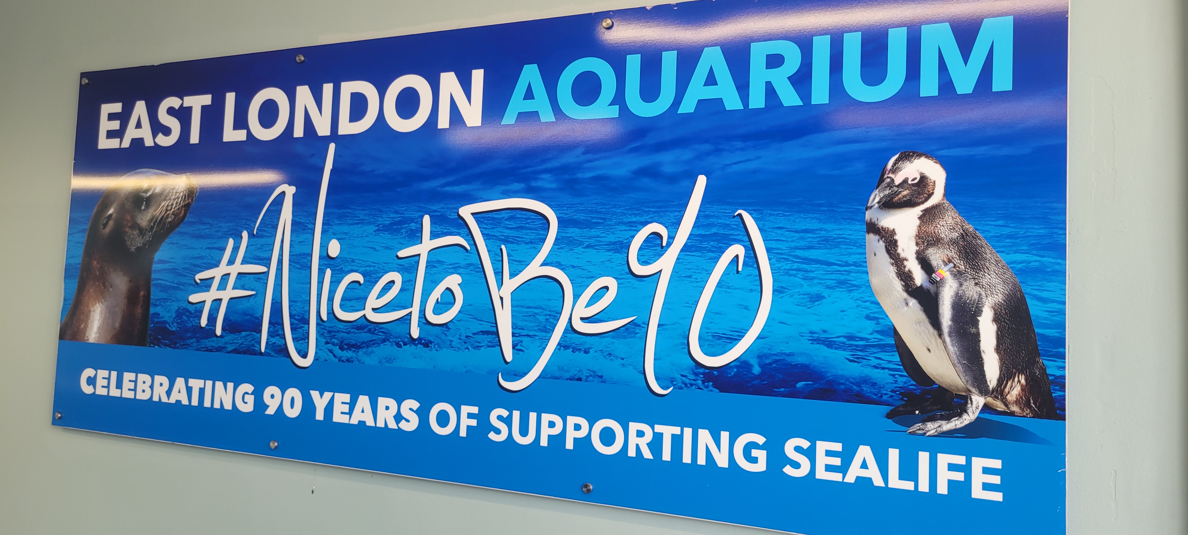 Kamva Shuttle & Tours