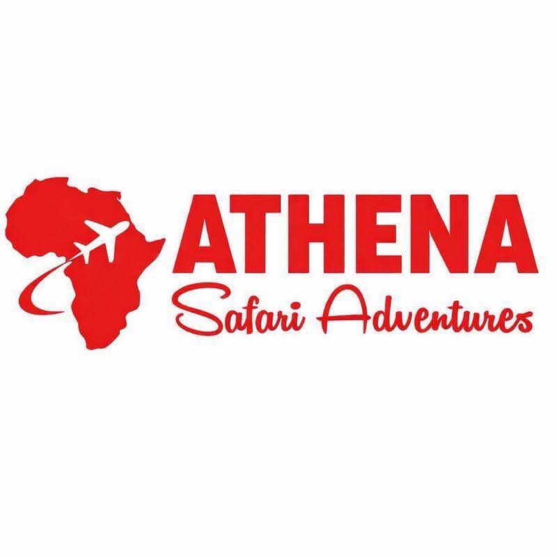 Athena safari adventure