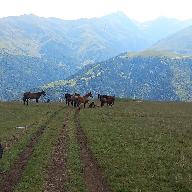 Caucasus Enduro Tours