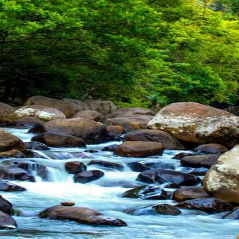Ella Excursions Tours