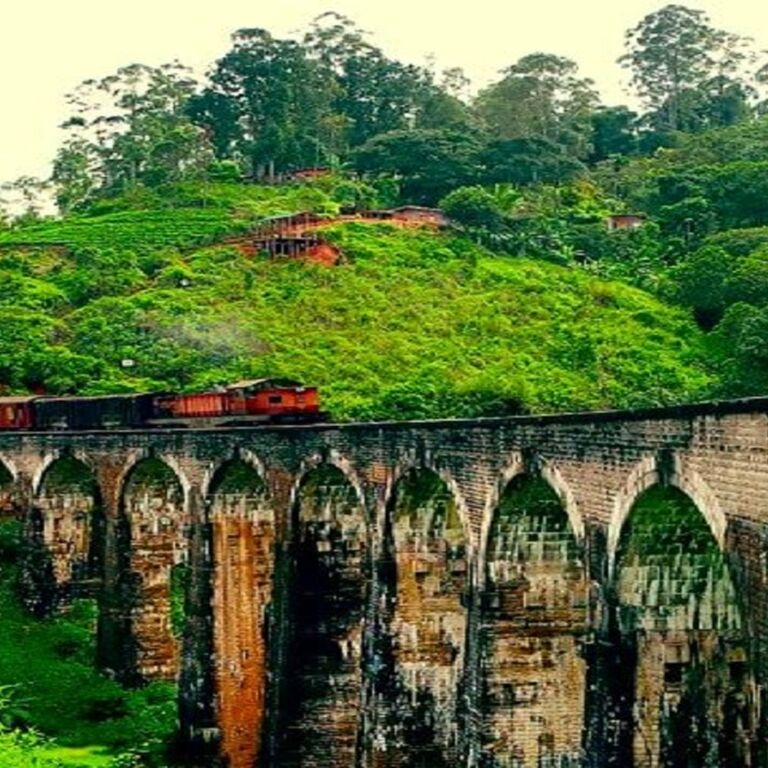 Ella Excursions Tours
