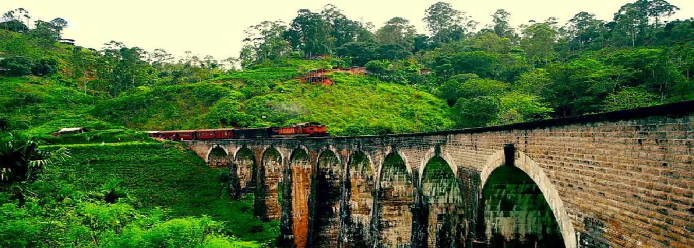 Ella Excursions Tours