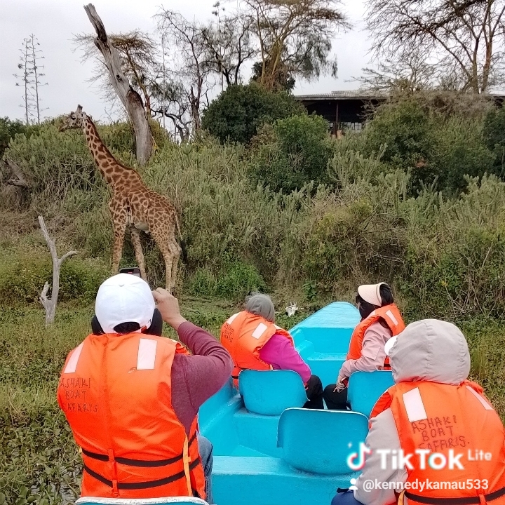 Tranquility boat safaris