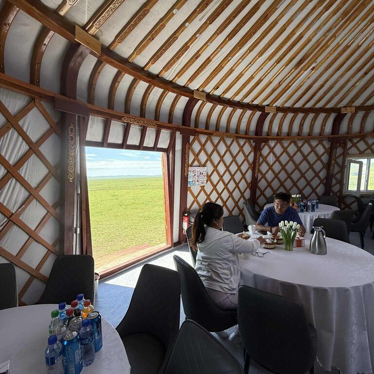Steppe Horse camp