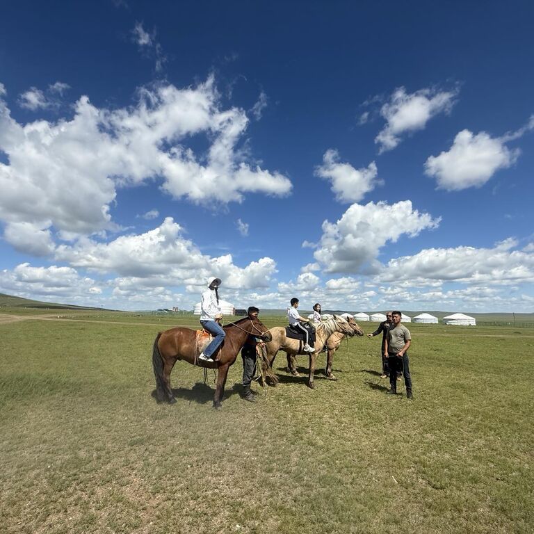 Steppe Horse camp