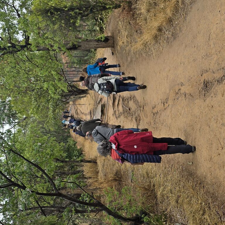 Mindful Journeys