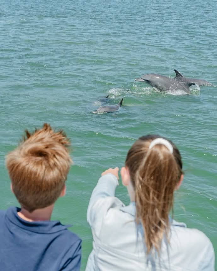 Private Sunset Dolphin & Sea Boat Trips – North Goa