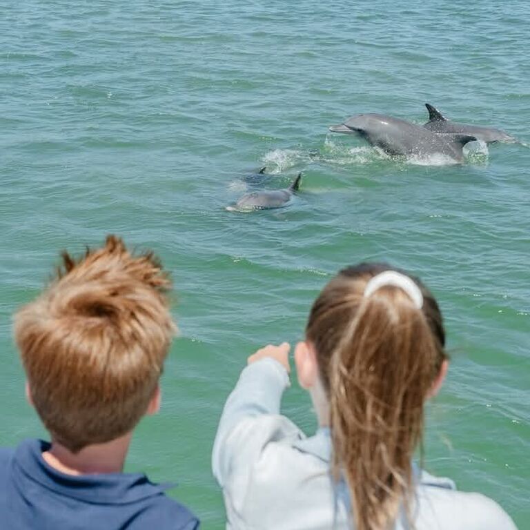 Private Sunset Dolphin & Sea Boat Trips – North Goa