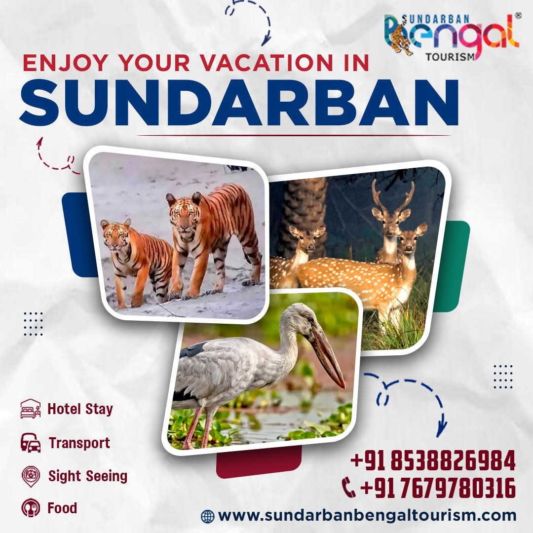 Sundarban Bengal Tourism