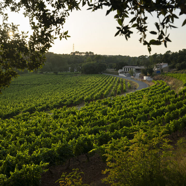 Château Clarettes
