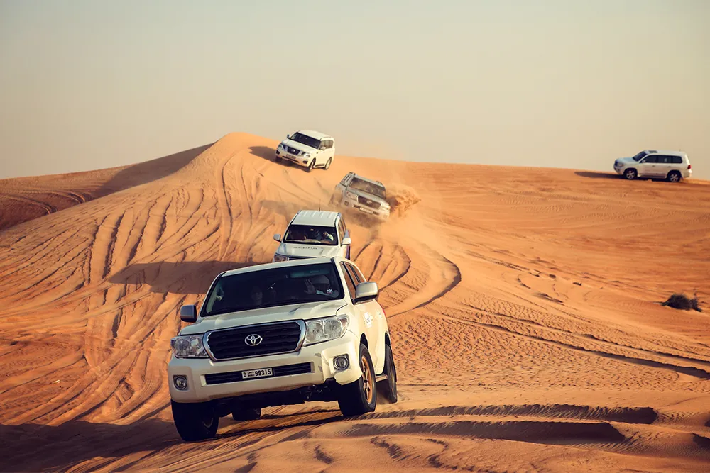 Royal Desert Safari