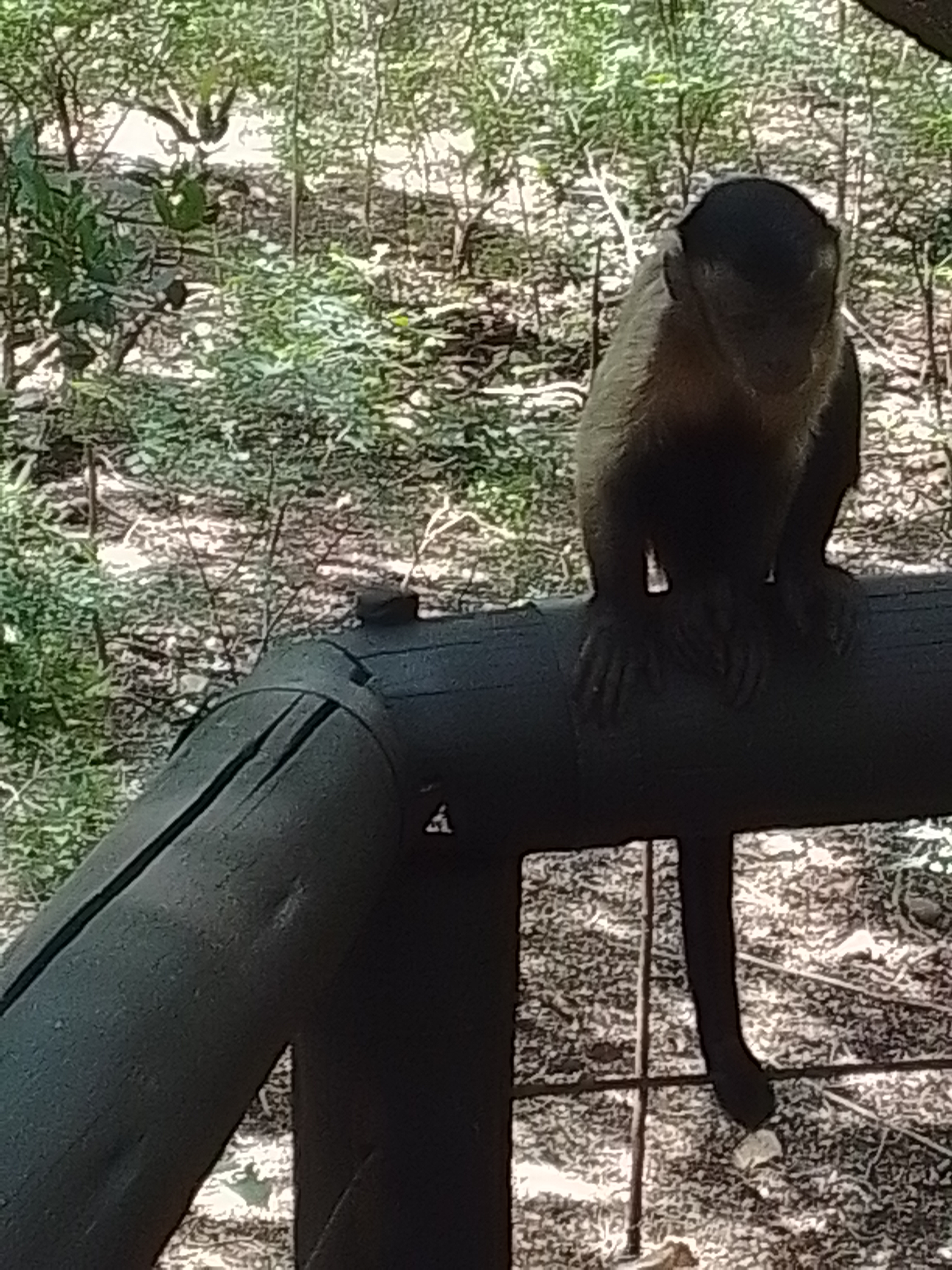 Terrence Rigby Transfers