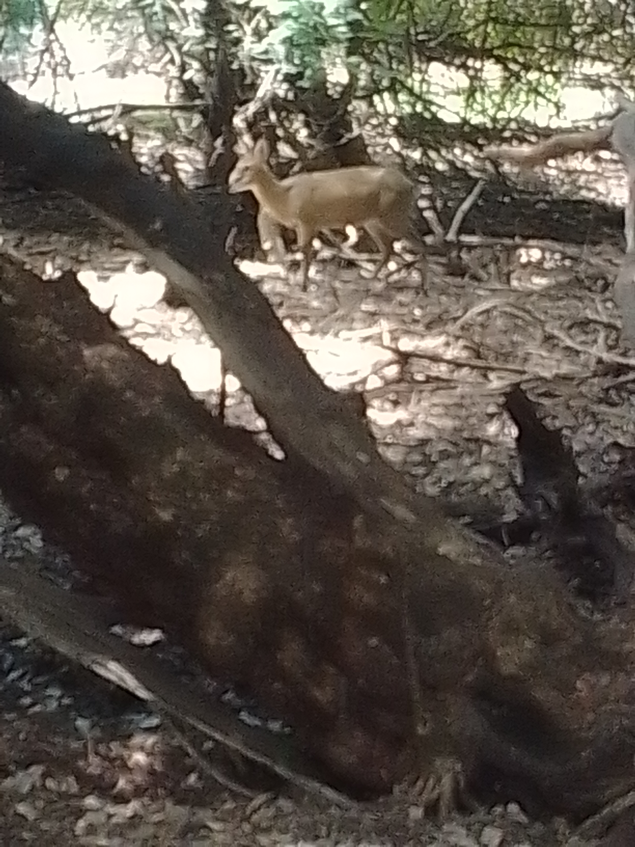 Terrence Rigby Transfers