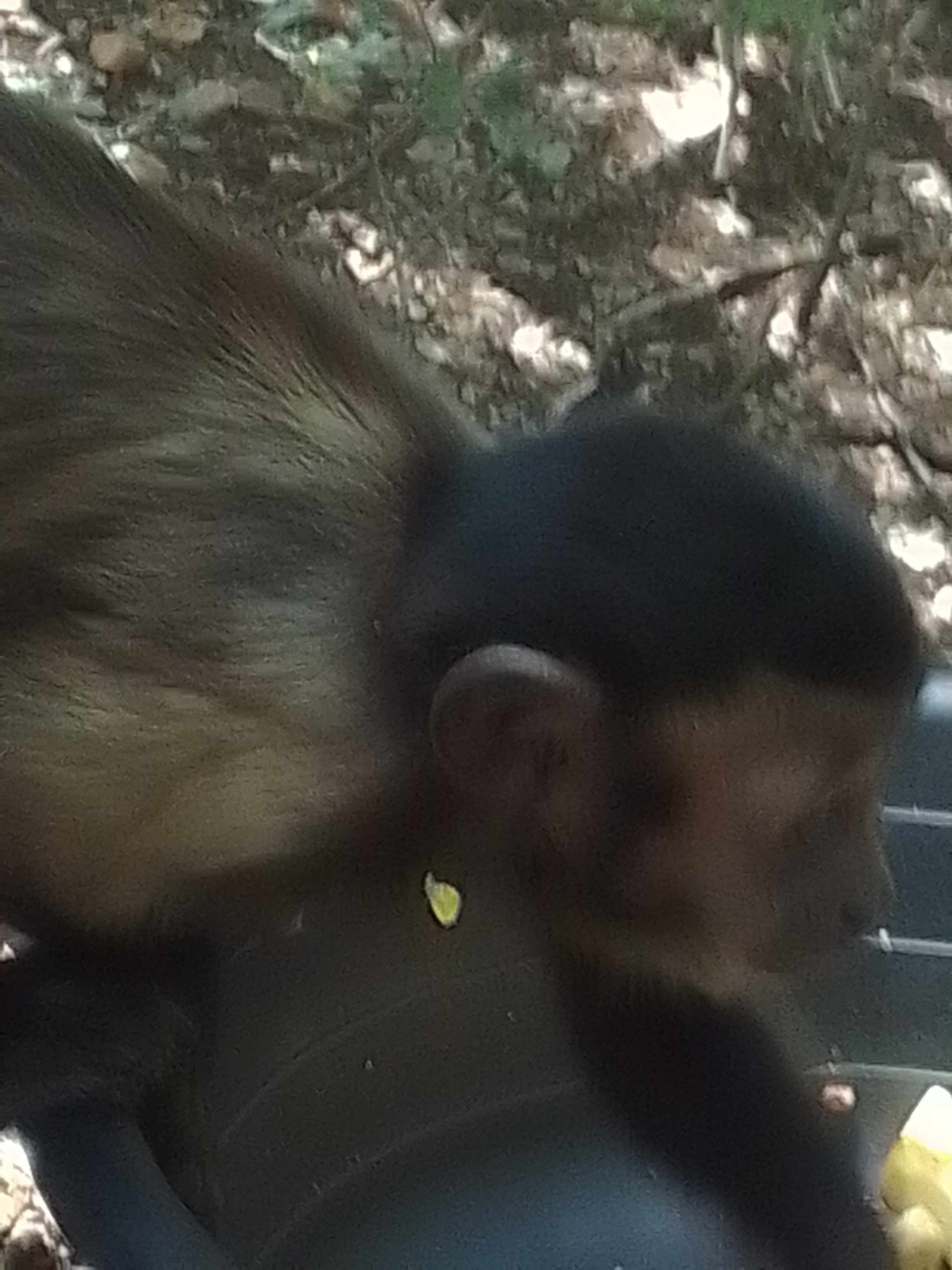 Terrence Rigby Transfers