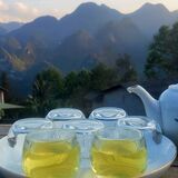 BAIYUE TEA SOCIETY - TRISHAN SOCIAL ENTERPRISE