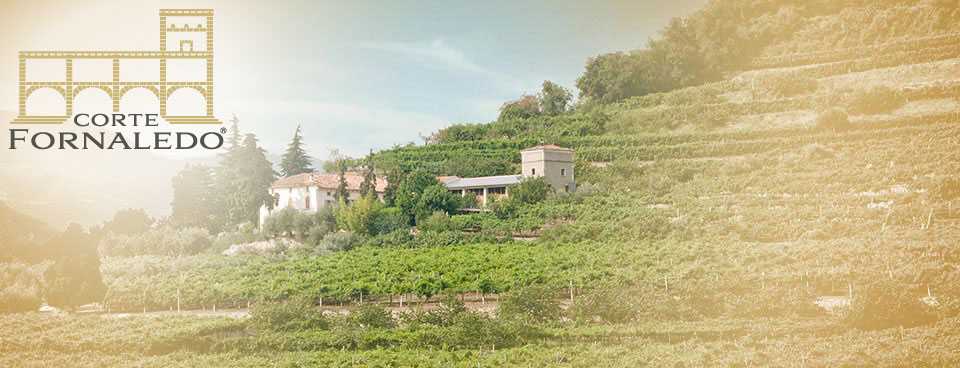 CORTE FORNALEDO