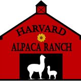 Harvard Alpaca Ranch